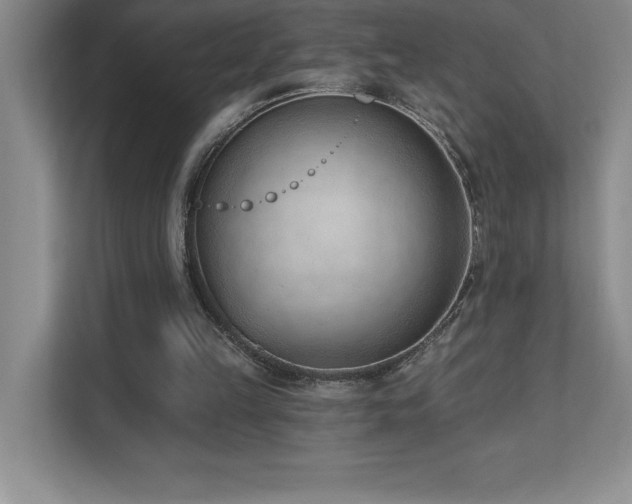 X0000112080149200908041301