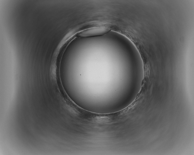 X0000112080150200908041301
