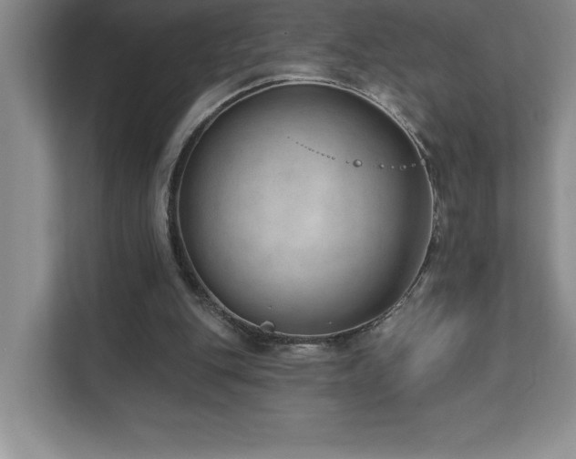 X0000112080151200908041301