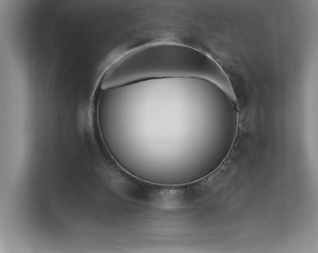 X0000112080152200908041301