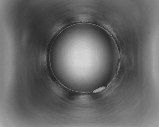 X0000112080154200908041301