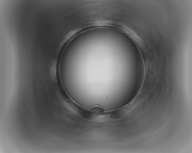 X0000112080155200908041301