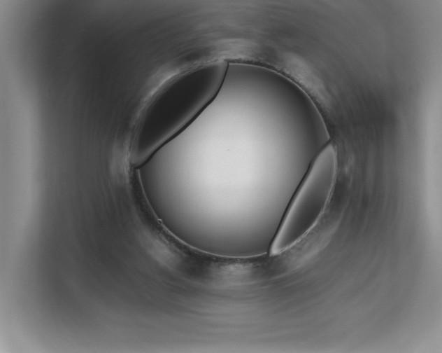 X0000112080156200908041301