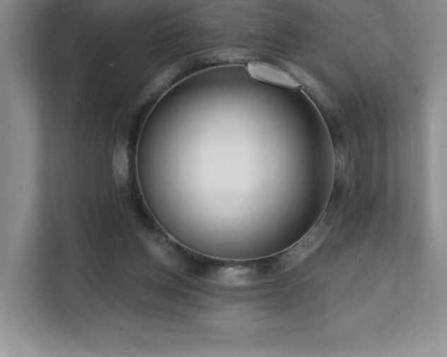 X0000112080158200908041301
