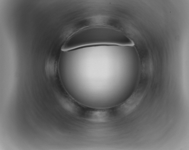 X0000112080168200908041301