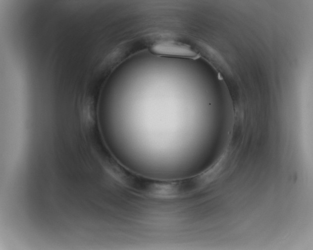 X0000112080170200908041301