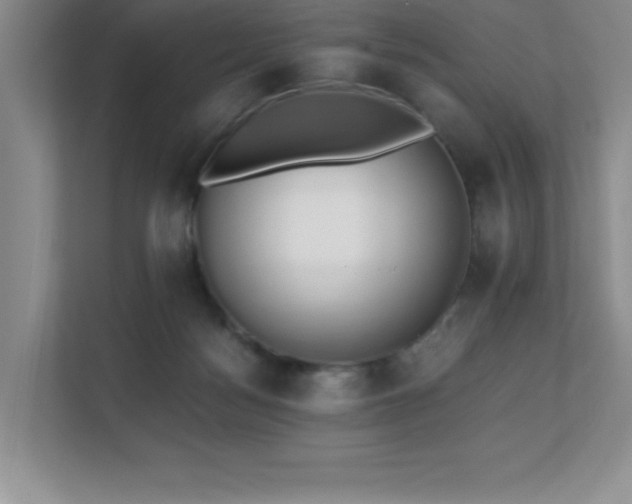 X0000112080172200908041301