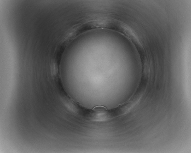 X0000112080173200908041301
