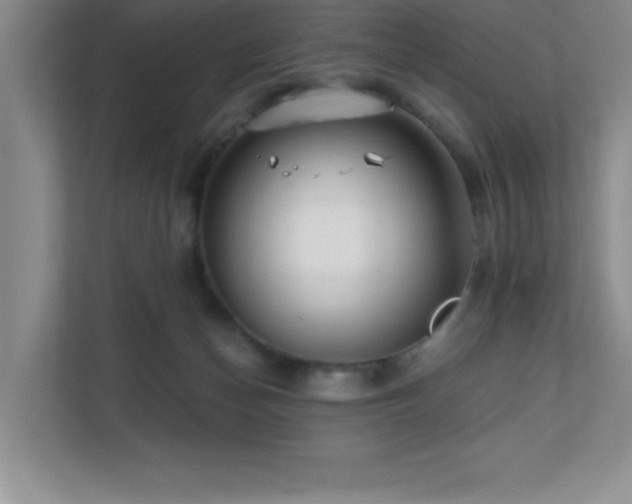 X0000112080174200908041301
