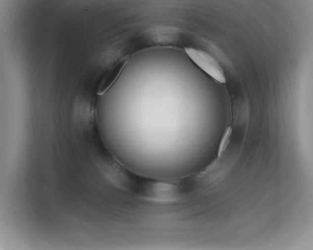 X0000112080176200908041301