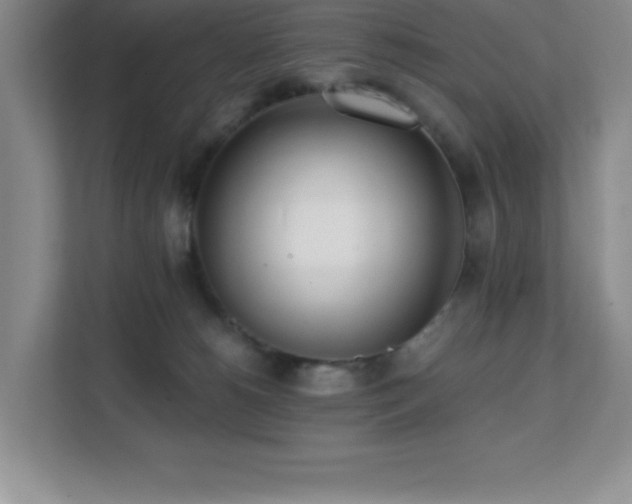 X0000112080180200908041301