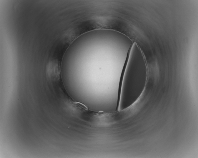 X0000112080186200908041301