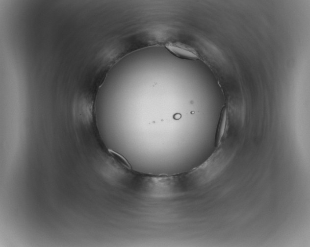 X0000112080188200908041301