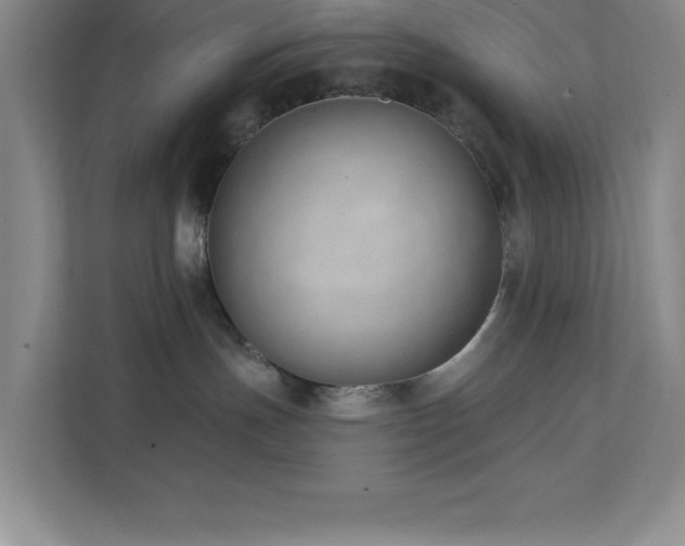 X0000112080191200908041301