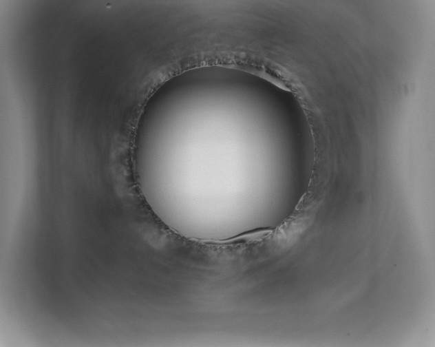 X0000112080192200908041301