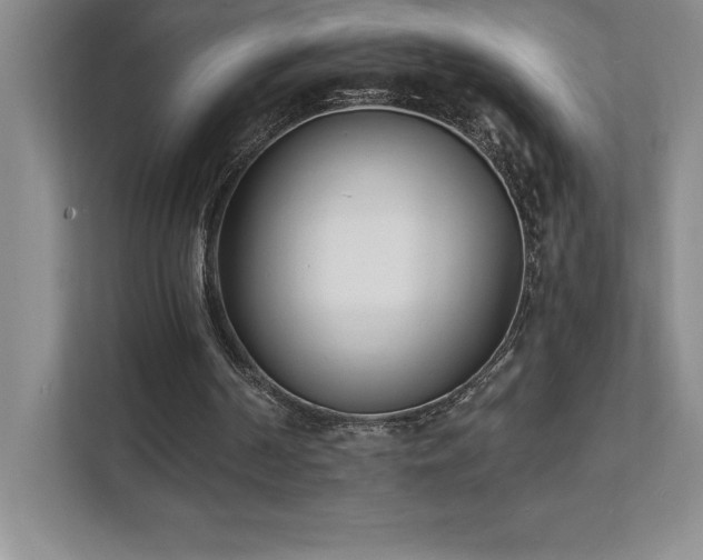 X0000112080194200908041301