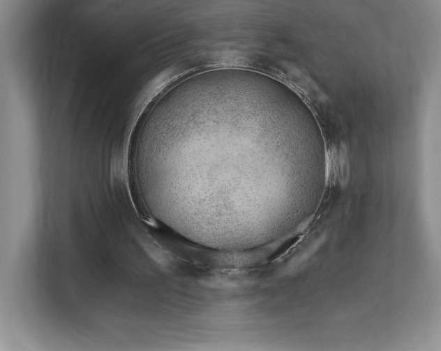 X0000112080195200908041301