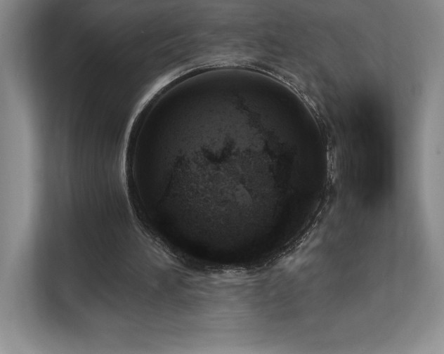 X0000112080196200908041301
