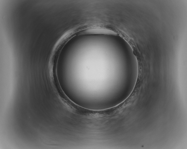 X0000112080197200908041301