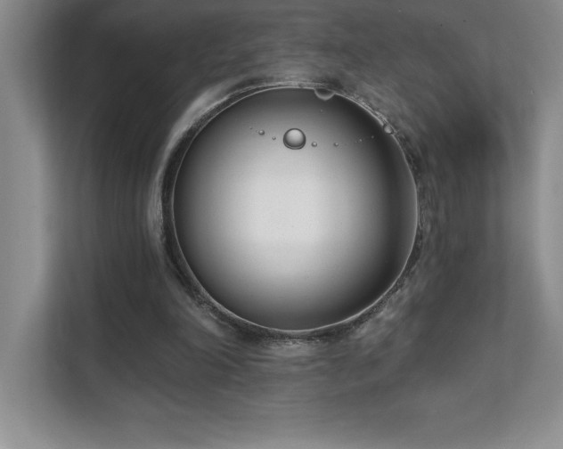 X0000112080198200908041301