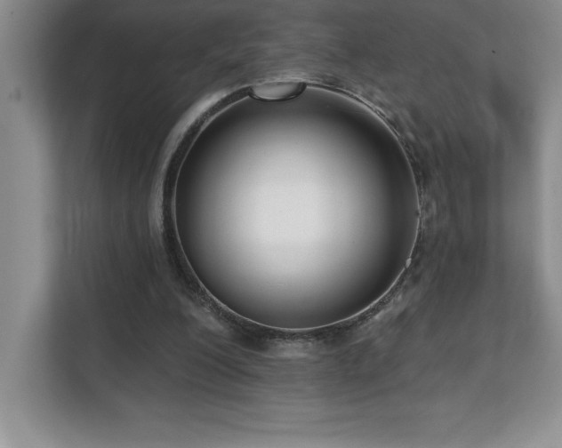 X0000112080200200908041300