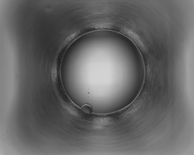 X0000112080202200908041300