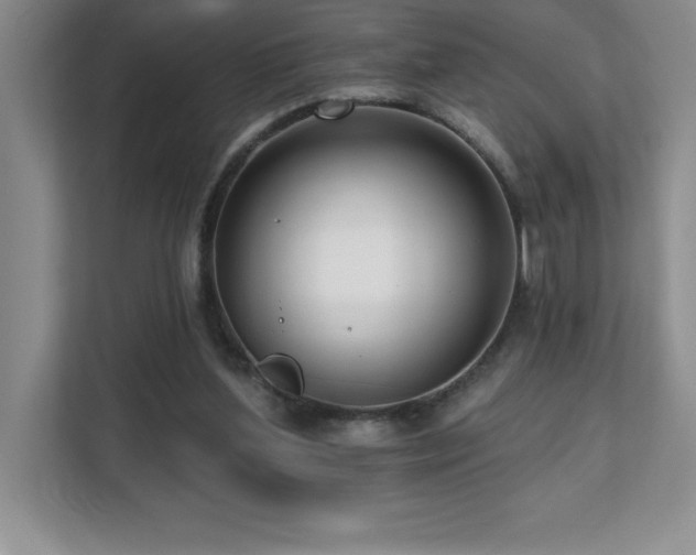 X0000112080204200908041300