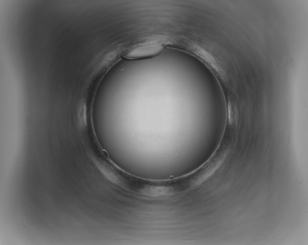 X0000112080205200908041300