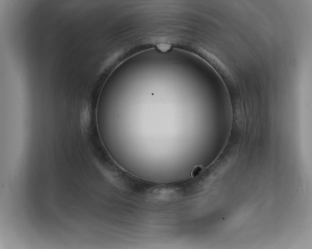 X0000112080208200908041300