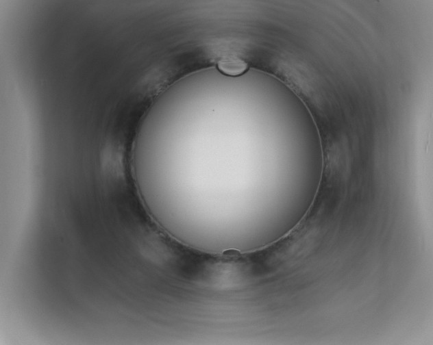 X0000112080209200908041300