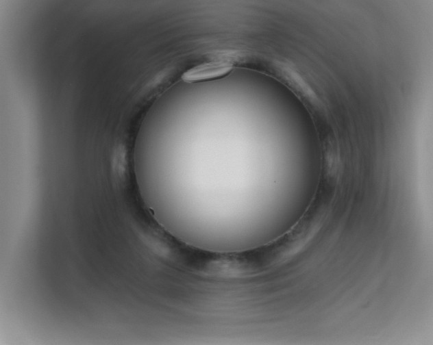 X0000112080211200908041300