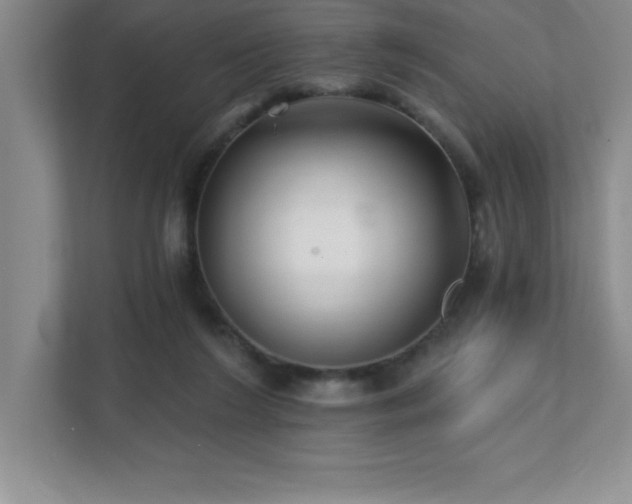 X0000112080212200908041300