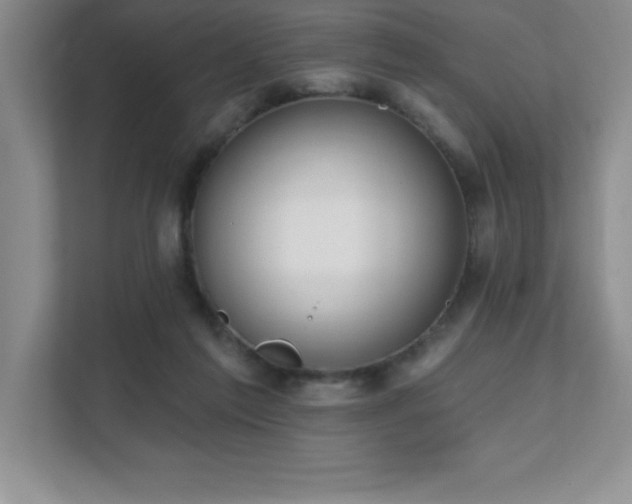 X0000112080213200908041300