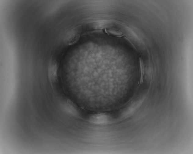 X0000112080219200908041300