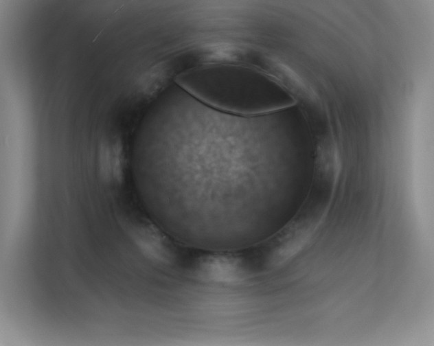 X0000112080223200908041300