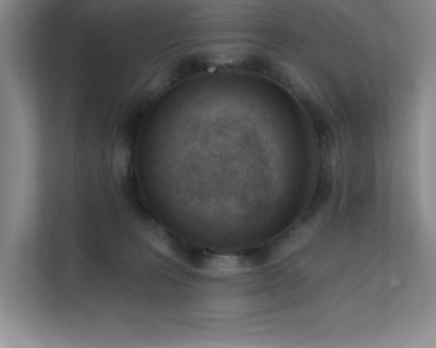 X0000112080227200908041300