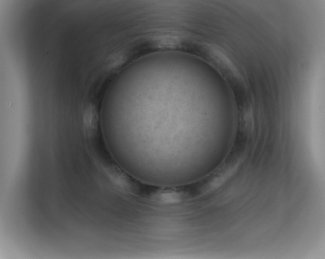 X0000112080228200908041300