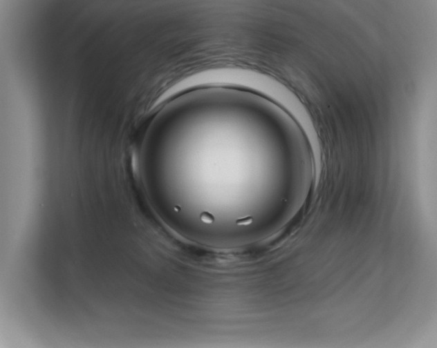 X0000112080229200908041300