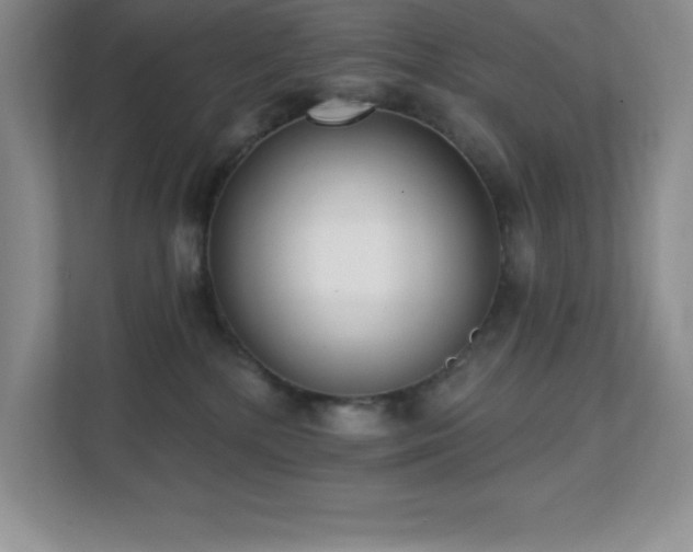 X0000112080232200908041300
