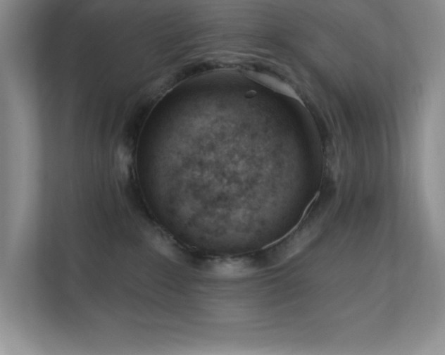 X0000112080235200908041300