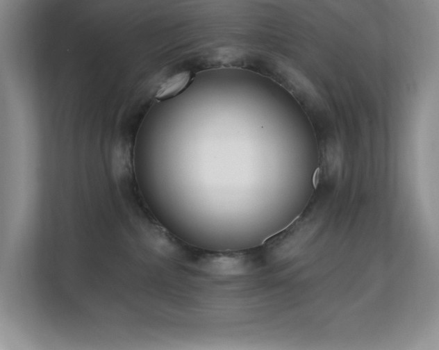 X0000112080236200908041300