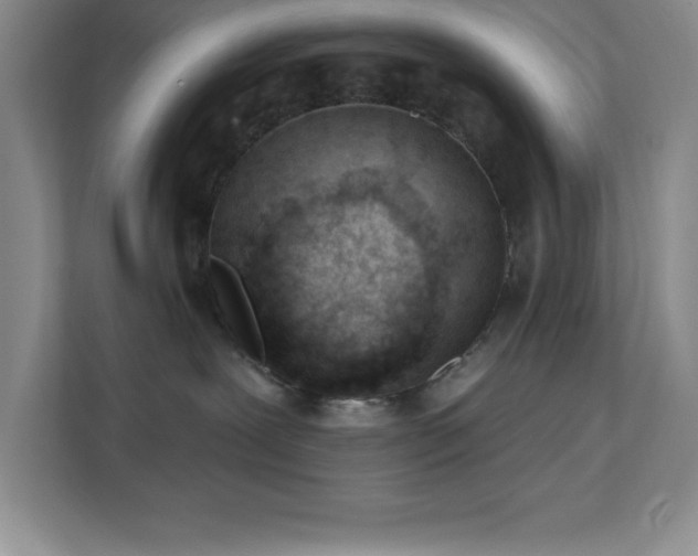 X0000112080239200908041300