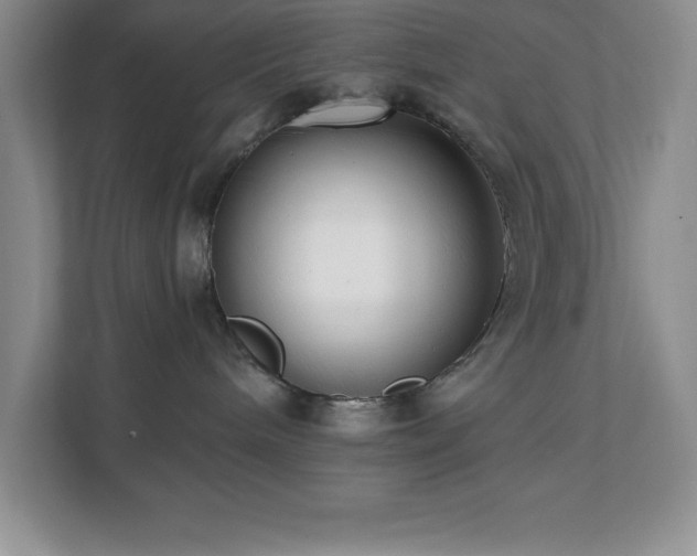 X0000112080240200908041300