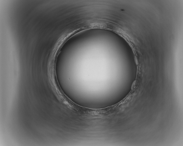 X0000112080241200908041259