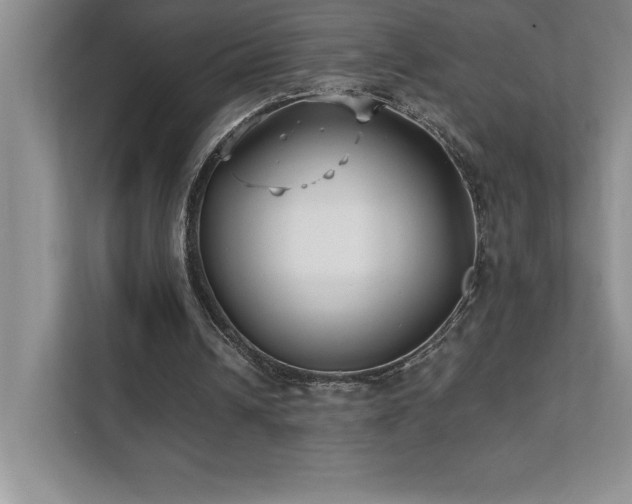 X0000112080242200908041259