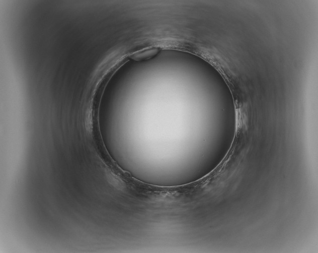 X0000112080243200908041259