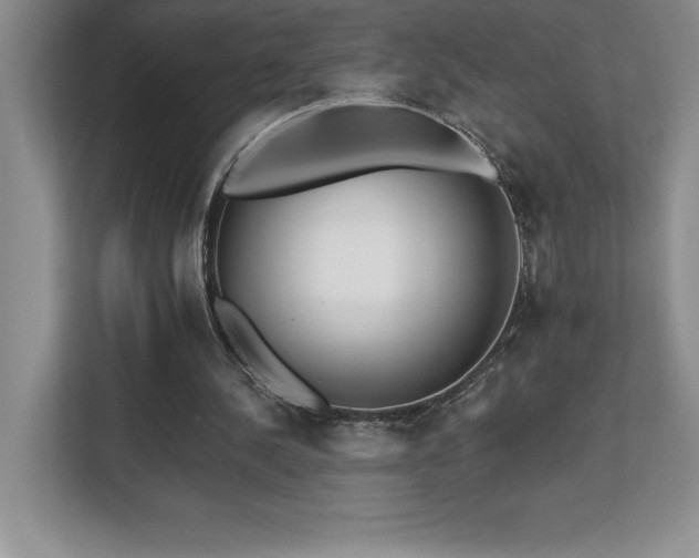 X0000112080244200908041259
