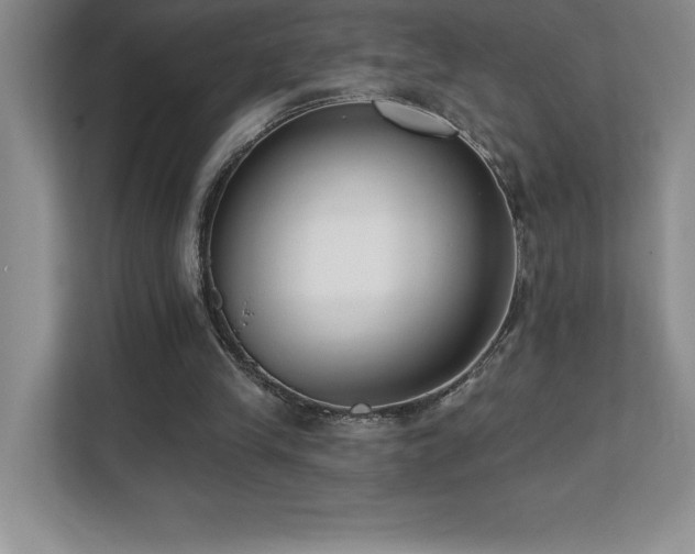 X0000112080245200908041259