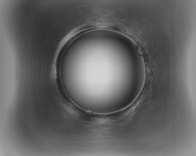 X0000112080246200908041259