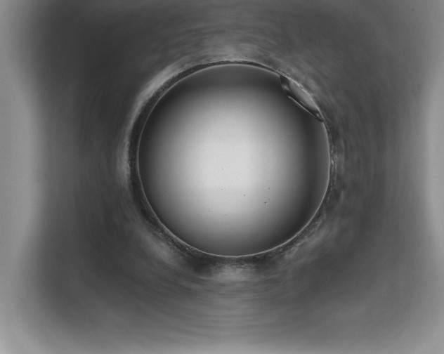X0000112080248200908041259